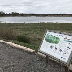 Ånge fågelsjö