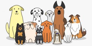 Facebooklogo för Vi med hund i Storvreta